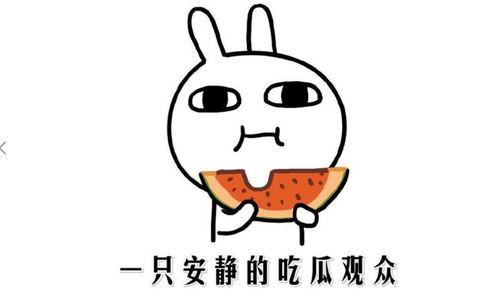 吃瓜网红抖音,揭秘娱乐圈幕后故事