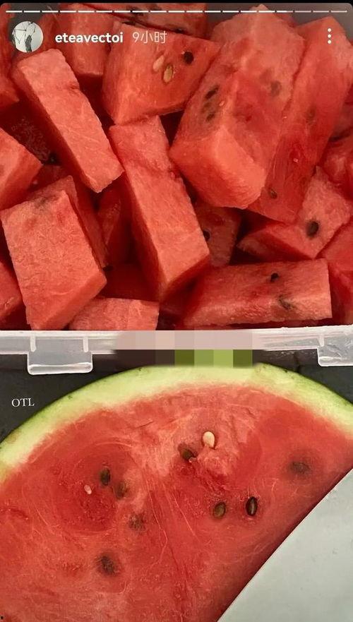 善堂网红吃瓜事件,揭秘网络舆论背后的真相与争议