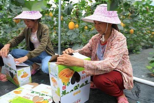 吃瓜逛街的网红,揭秘网红圈生活点滴